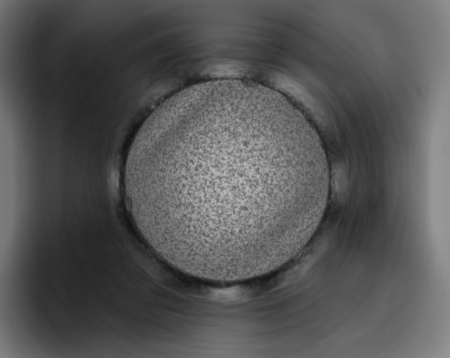 X0000096720309200802191533