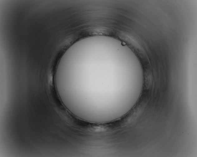 X0000096720310200802191533