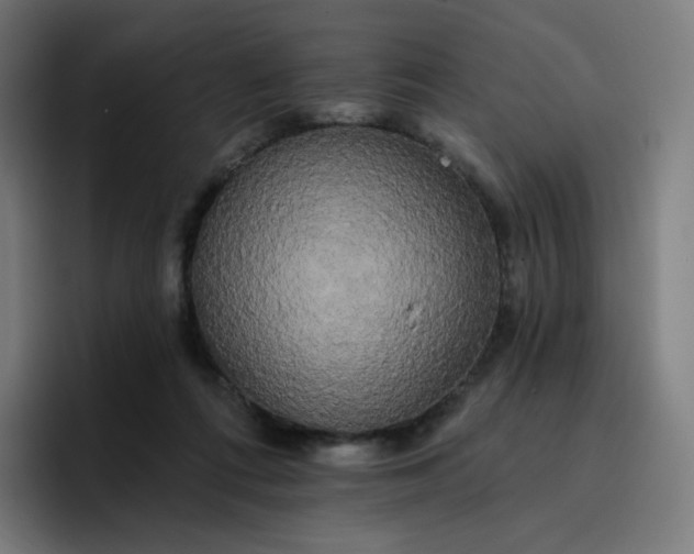 X0000096720312200802191533