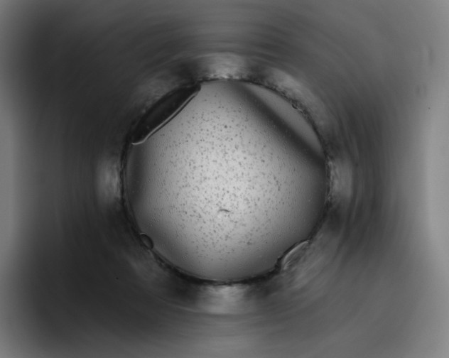 X0000096720313200802191533