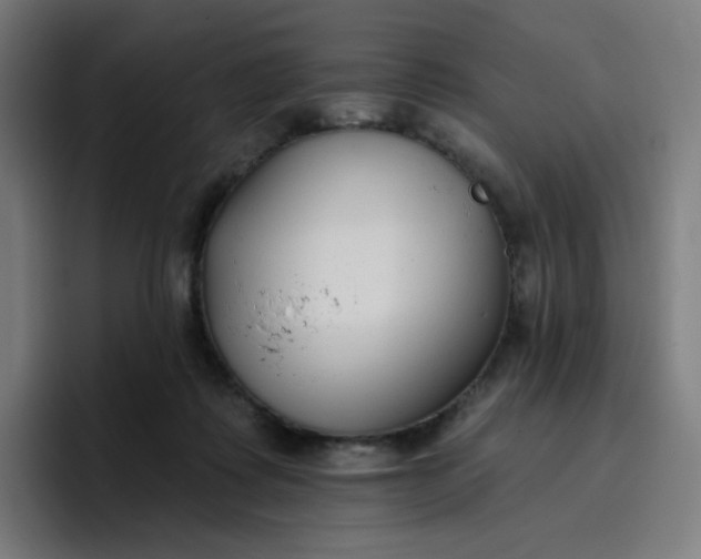 X0000096720315200802191533