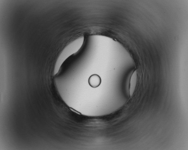 X0000096720316200802191533