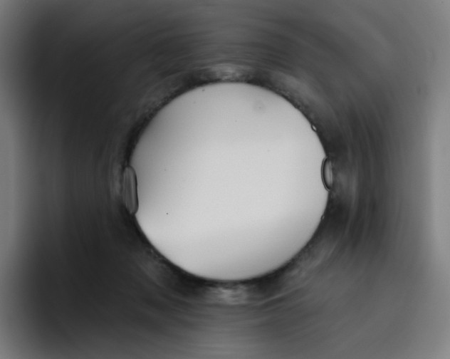 X0000096720317200802191533