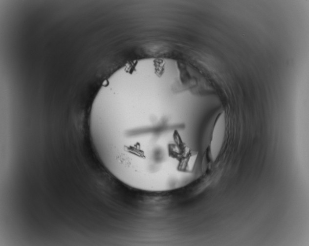 X0000096720319200802191533