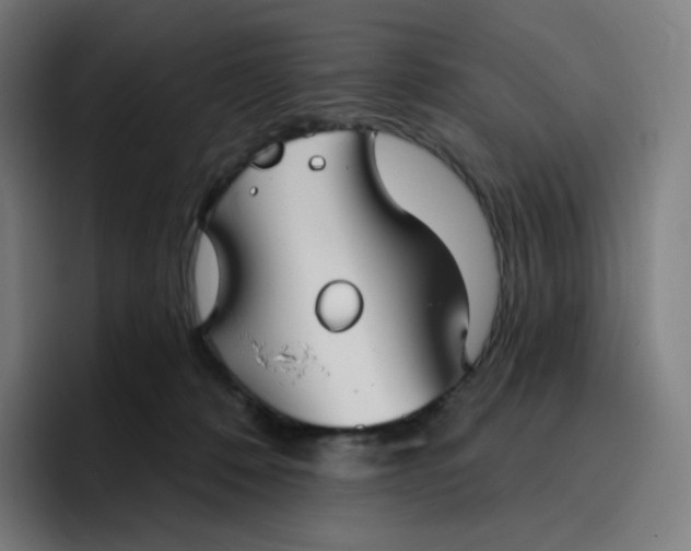 X0000096720320200802191533