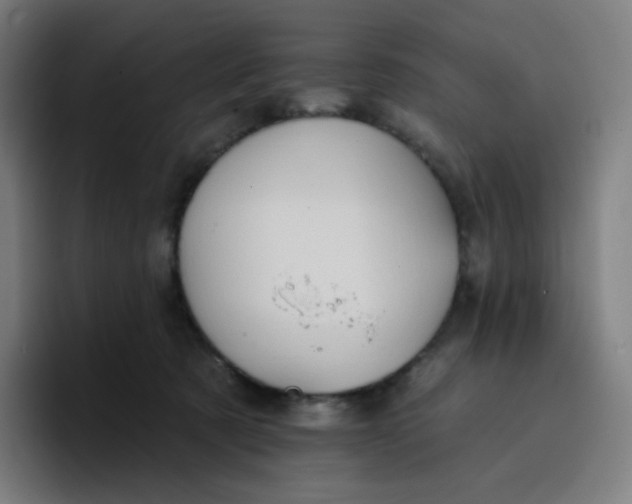 X0000096720321200802191533