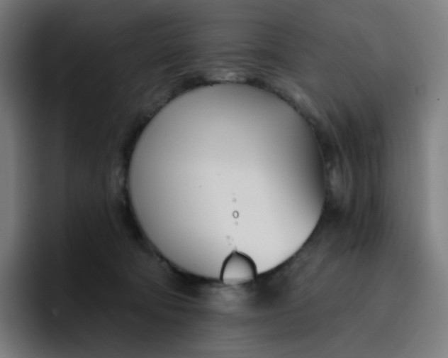 X0000096720322200802191533