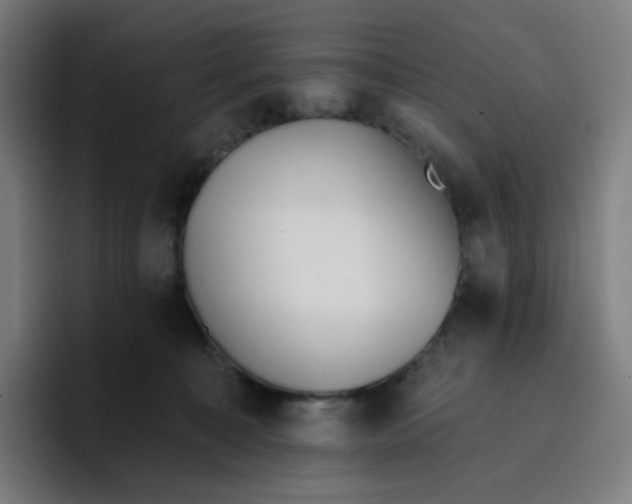 X0000096720323200802191533