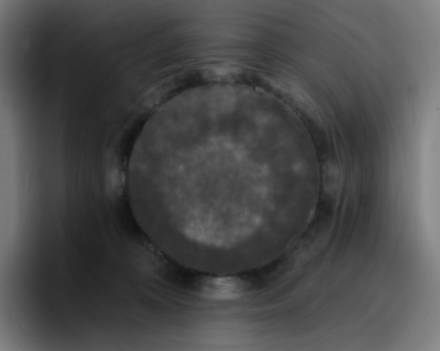 X0000096720324200802191533