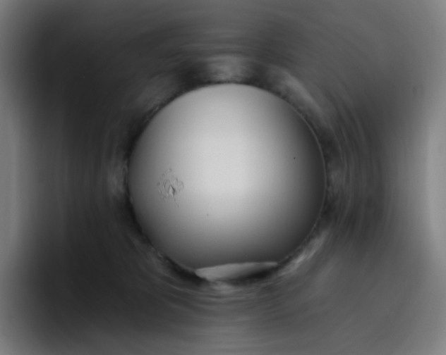 X0000096720325200802191533