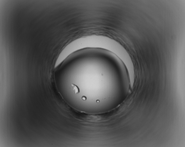 X0000096720328200802191533