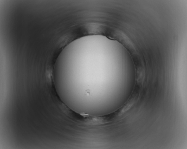 X0000096720329200802191533