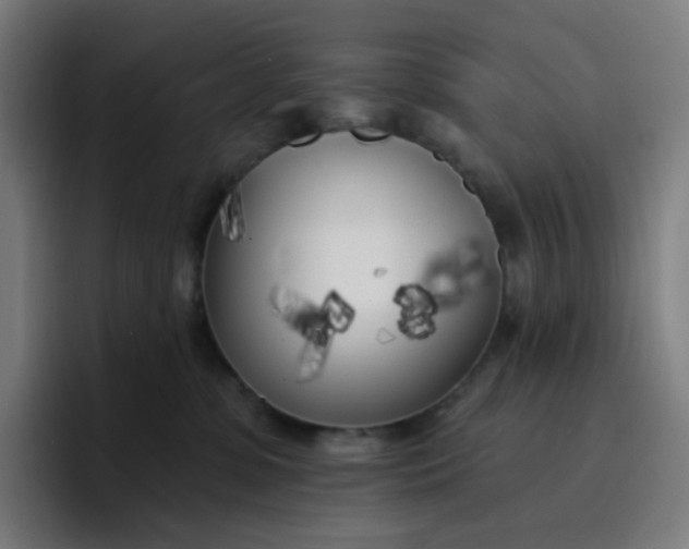 X0000096720331200802191533