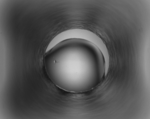 X0000096720332200802191533