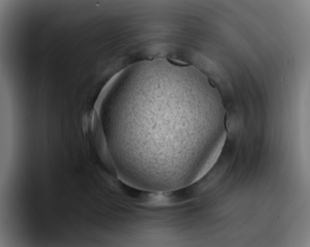 X0000096720335200802191533