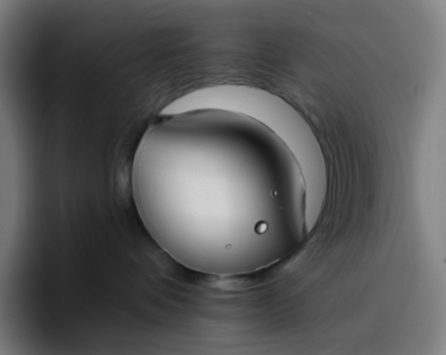 X0000096720336200802191533