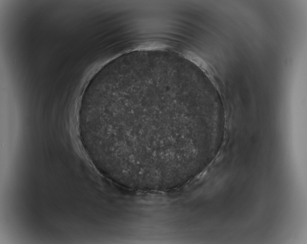 X0000096720337200802191532