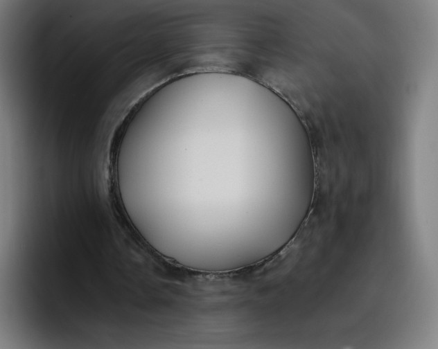 X0000096720338200802191533