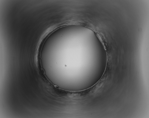 X0000096720340200802191533