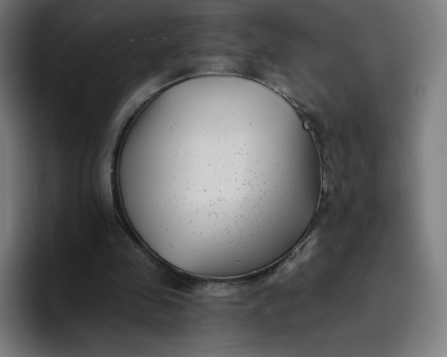 X0000096720341200802191533