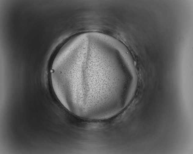 X0000096720342200802191533