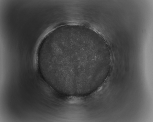 X0000096720343200802191533