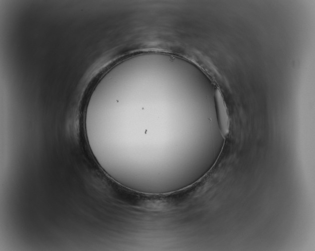 X0000096720344200802191533