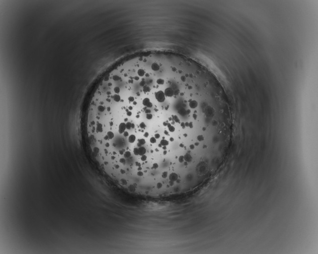 X0000096720346200802191533