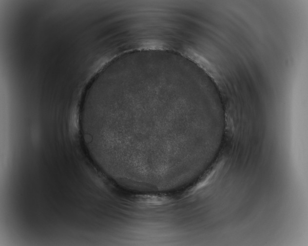 X0000096720347200802191533