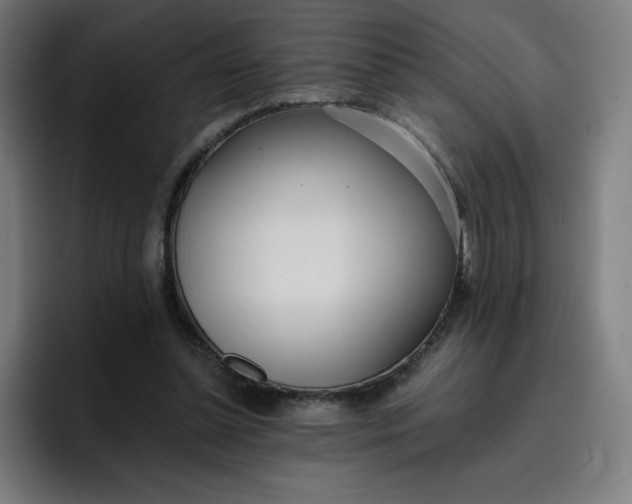 X0000096720348200802191533