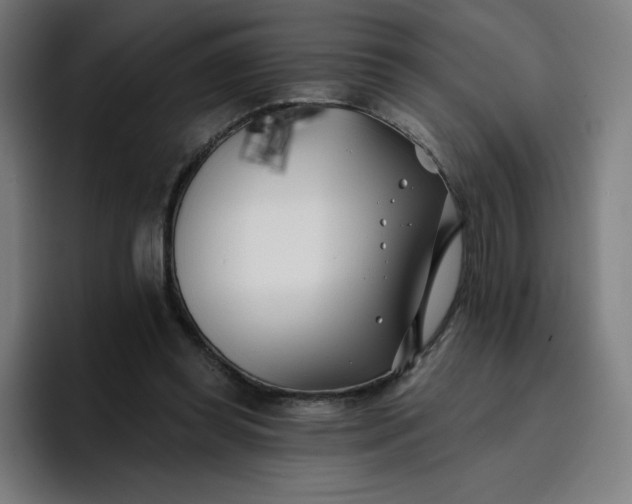 X0000096720349200802191533