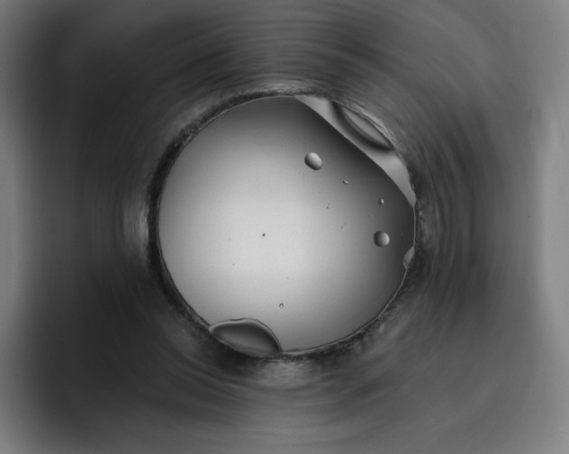 X0000096720350200802191533