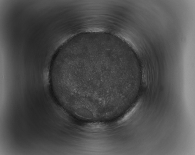 X0000096720351200802191533