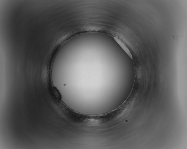 X0000096720352200802191533