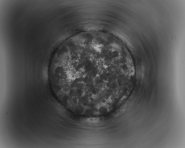 X0000096720353200802191533