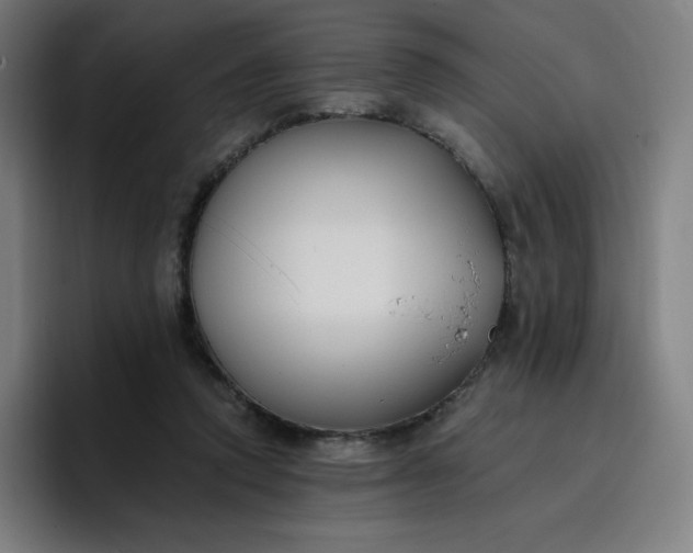 X0000096720354200802191533