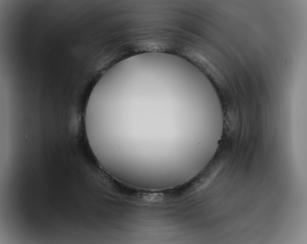 X0000096720355200802191533