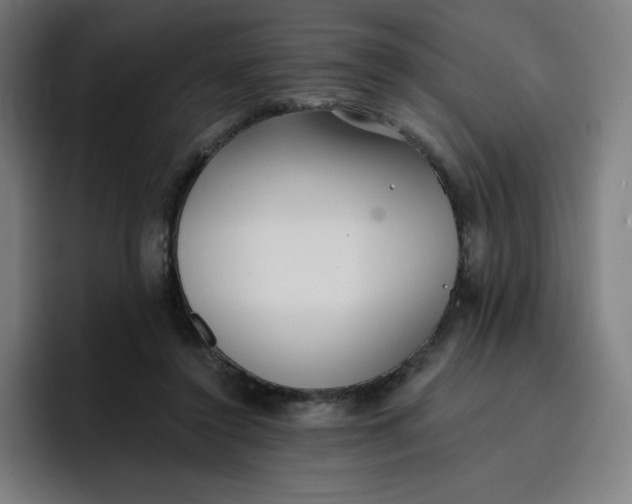 X0000096720356200802191533