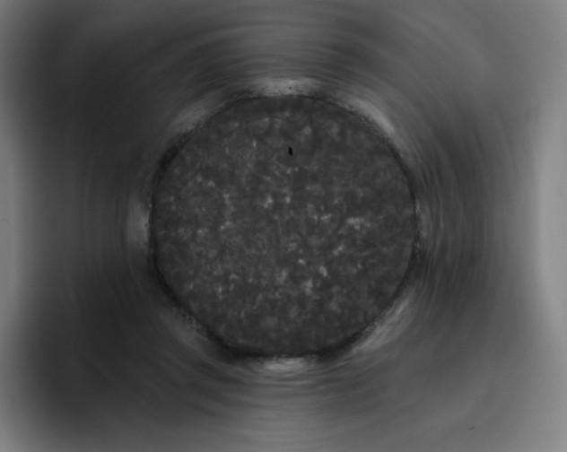 X0000096720357200802191533