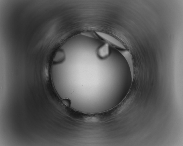 X0000096720358200802191533