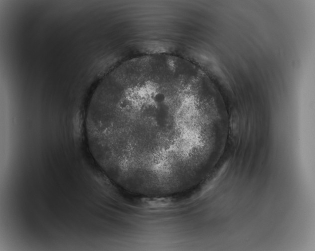 X0000096720359200802191533