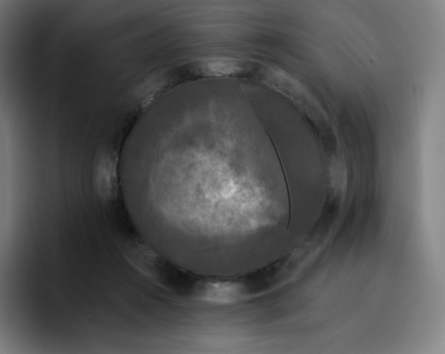 X0000096720360200802191533