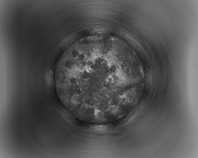 X0000096720361200802191533