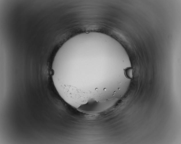 X0000096720362200802191533