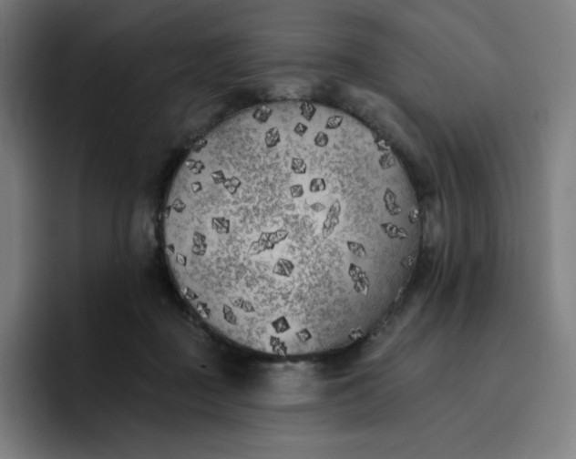 X0000096720363200802191533