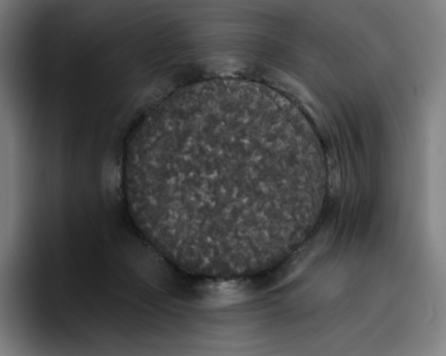 X0000096720365200802191533