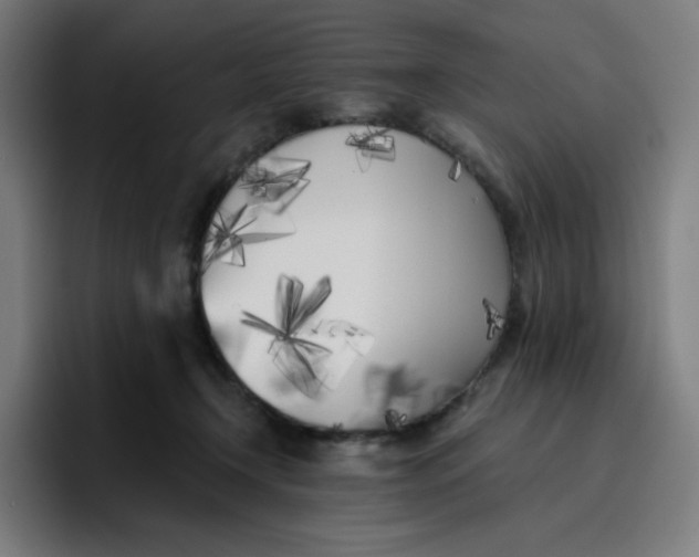 X0000096720366200802191533