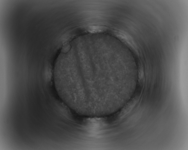 X0000096720367200802191533