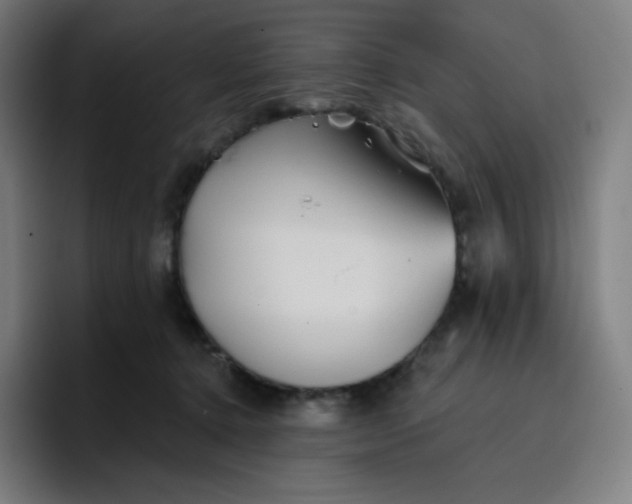 X0000096720368200802191533