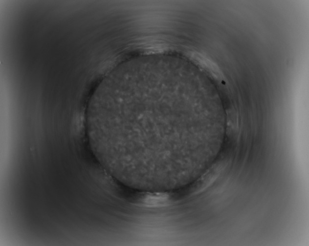 X0000096720369200802191533